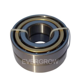 EG-250 Bearings 