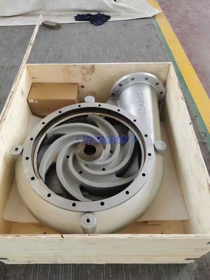 WIFI0s01656457954IMG_20230828_085450