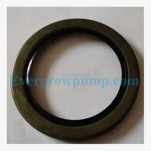 250 Labyrinth Seal, I.B. Brg Cover