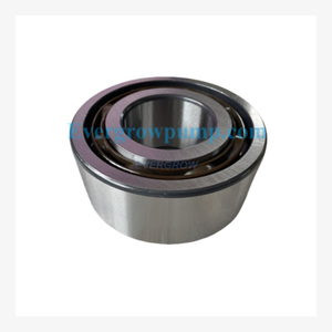 250 Inboard Bearing
