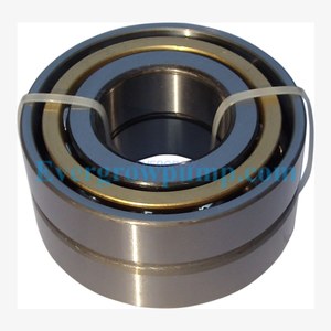 250 Outboard Bearing