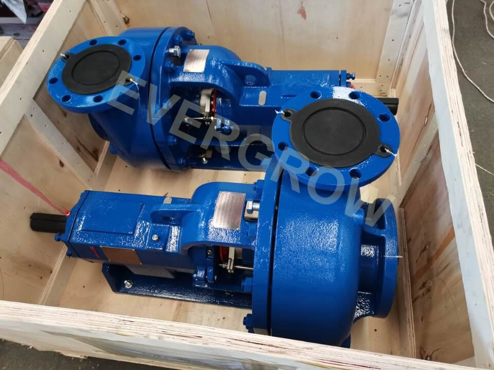 EG-250 Centrifugal Pumps are ready for delivery-MISSION/MCM Equivalent Centrifugal Pumps