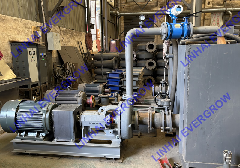 Performance Tests of A Centrifugal Pump: Ensuring Reliability in MISSION MAGNUM Models 