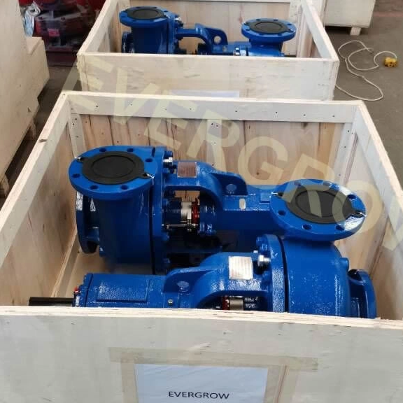 High-Performance EG-250 6x5x11 Centrifugal Pumps – A Reliable Replacement for NOV MISSION & MCM 250
