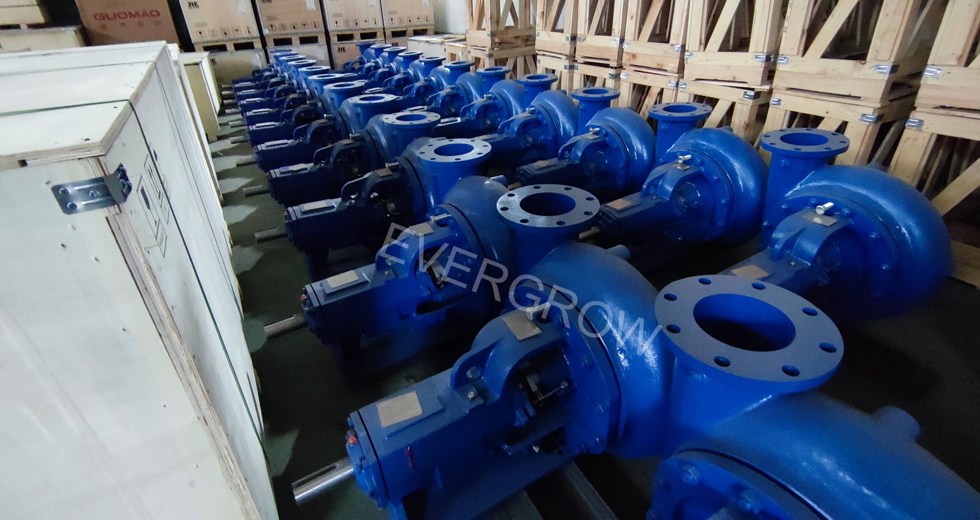 MVIMG_20230316_174543