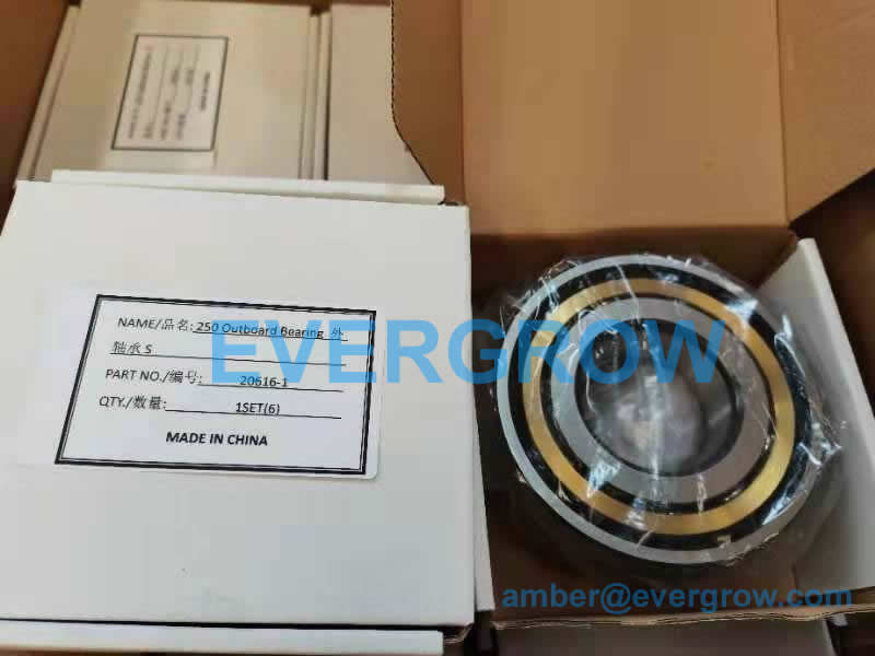 20616-1 Outboard Bearing